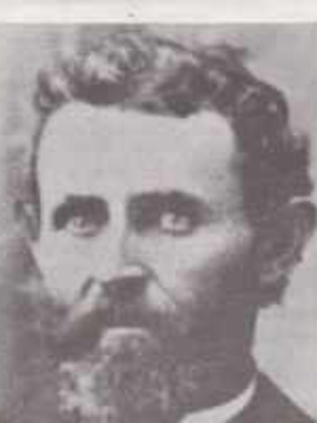 Theodore Spencer Harrington (1844 - 1922) Profile